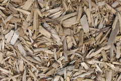 biomass boilers Scruton