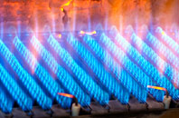 Scruton gas fired boilers